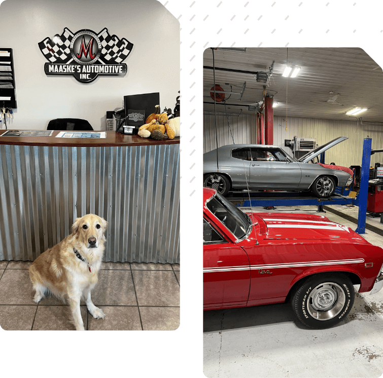 The Auto Repair Service Experts Near You